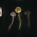 Thalazur - & 아파트호텔 3*